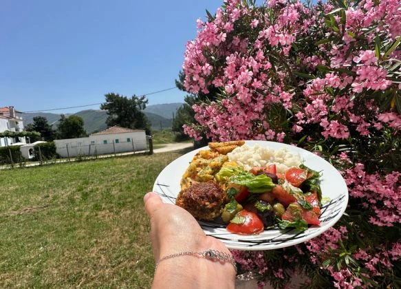 Сатвічна аюрведична кухня — свіжоприготовані страви